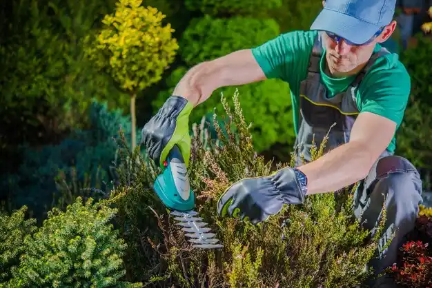 landscaping services Erwinville